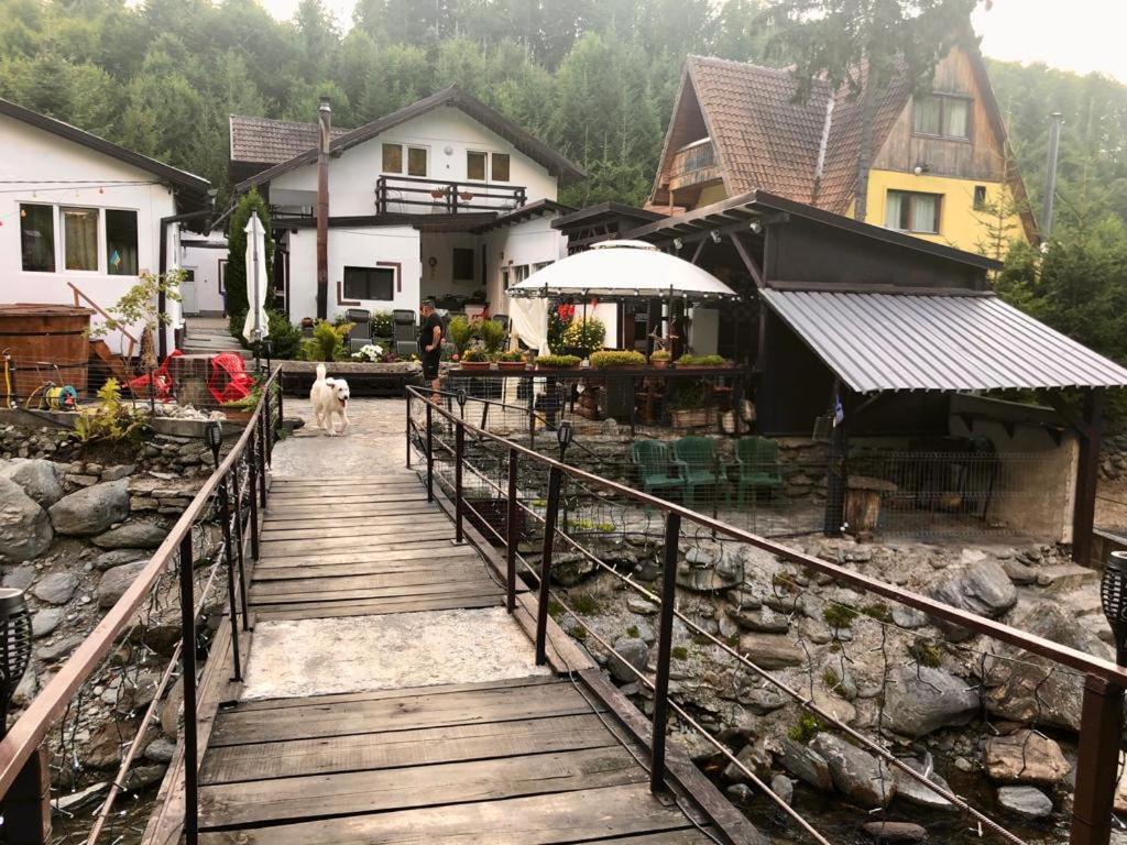 Villa Podul De Brazi - Fir Bridge à Cîrţişoara Extérieur photo