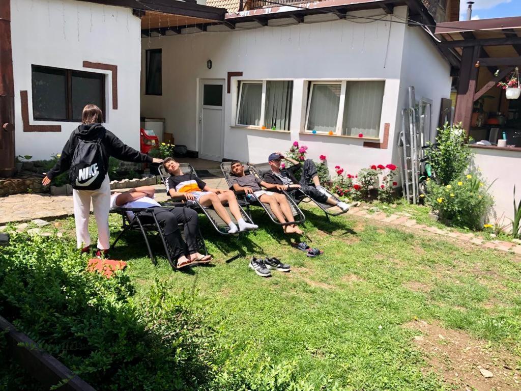 Villa Podul De Brazi - Fir Bridge à Cîrţişoara Extérieur photo