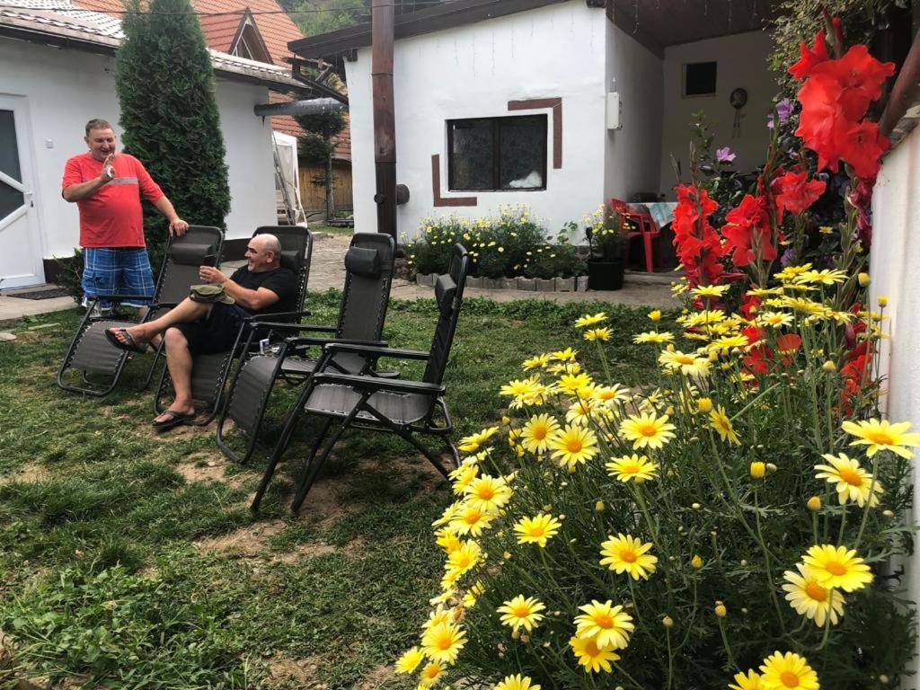 Villa Podul De Brazi - Fir Bridge à Cîrţişoara Extérieur photo