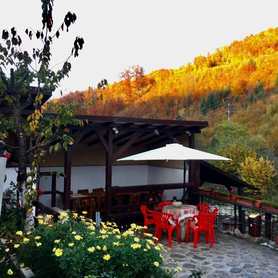 Villa Podul De Brazi - Fir Bridge à Cîrţişoara Extérieur photo