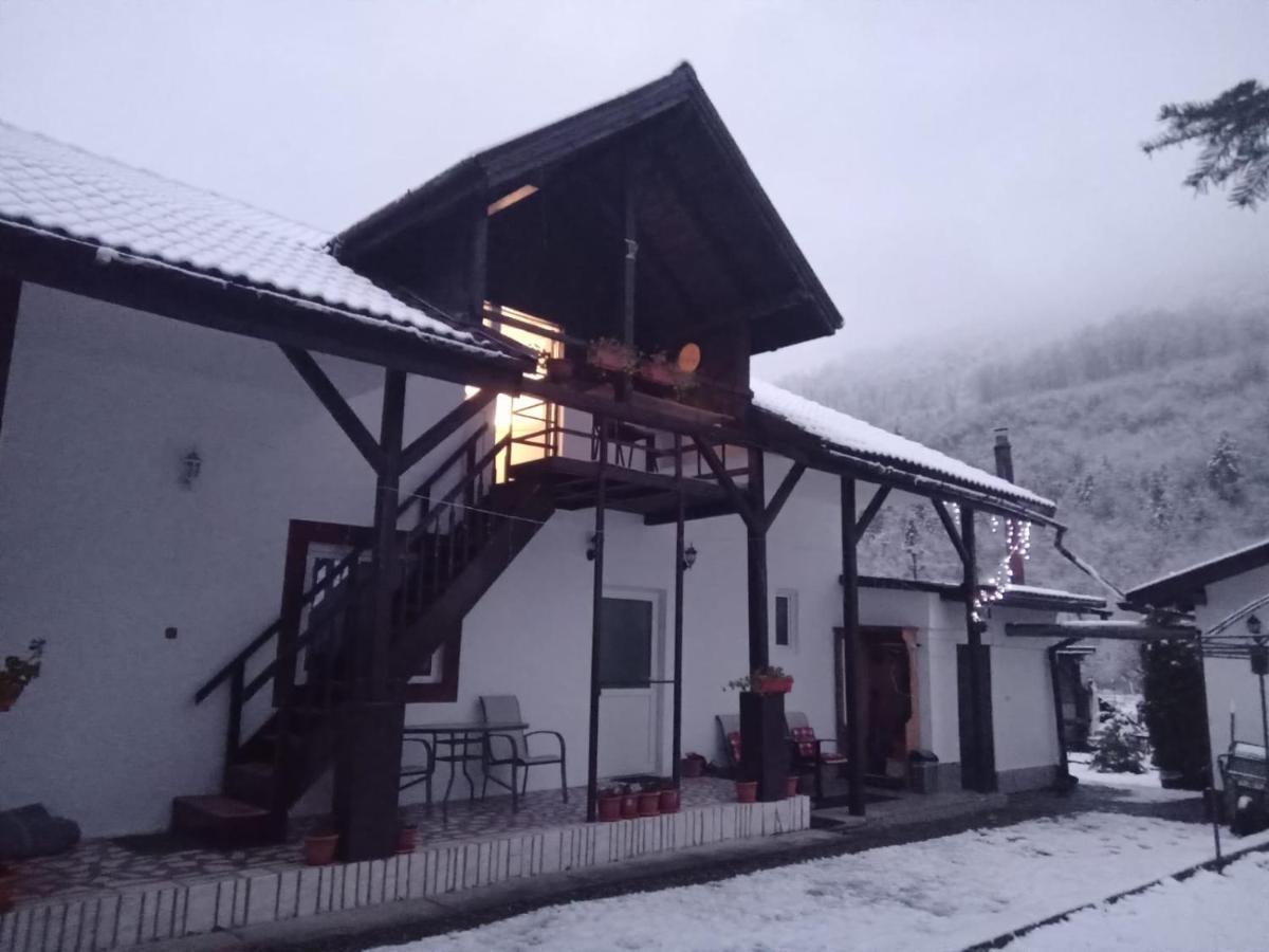 Villa Podul De Brazi - Fir Bridge à Cîrţişoara Extérieur photo