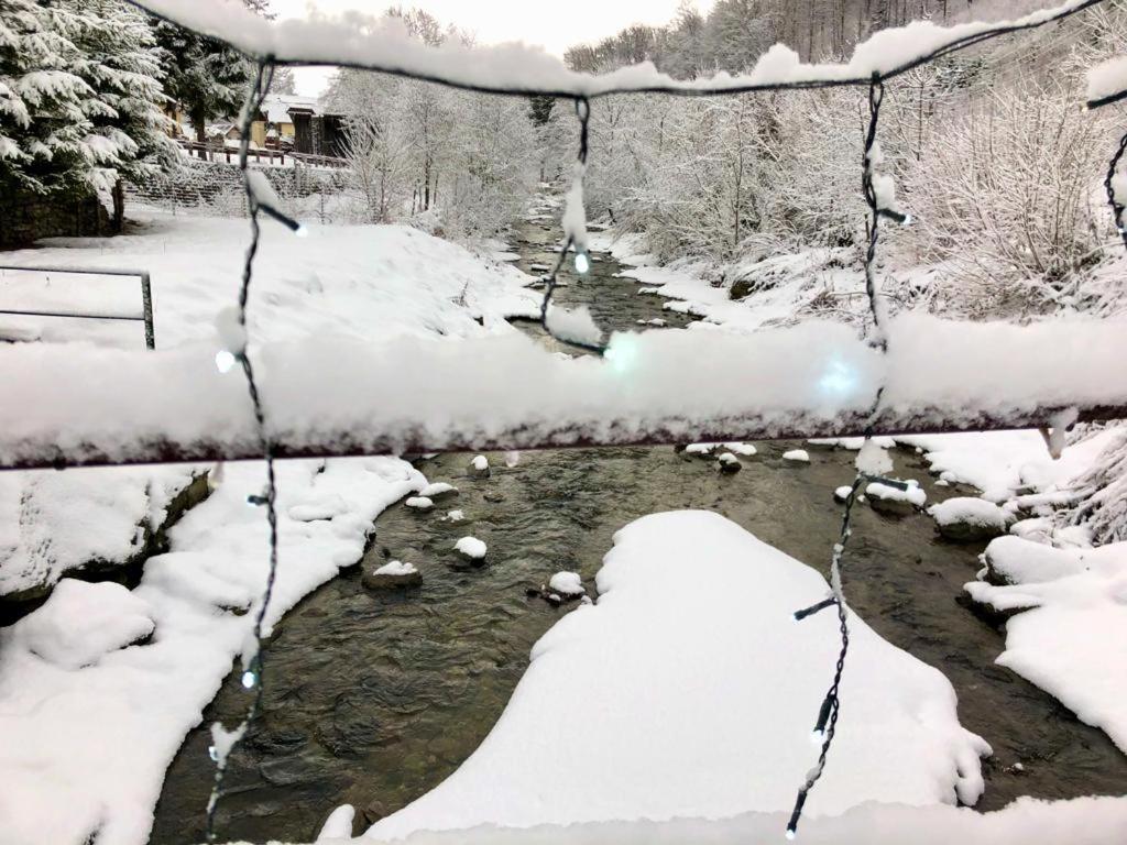 Villa Podul De Brazi - Fir Bridge à Cîrţişoara Extérieur photo