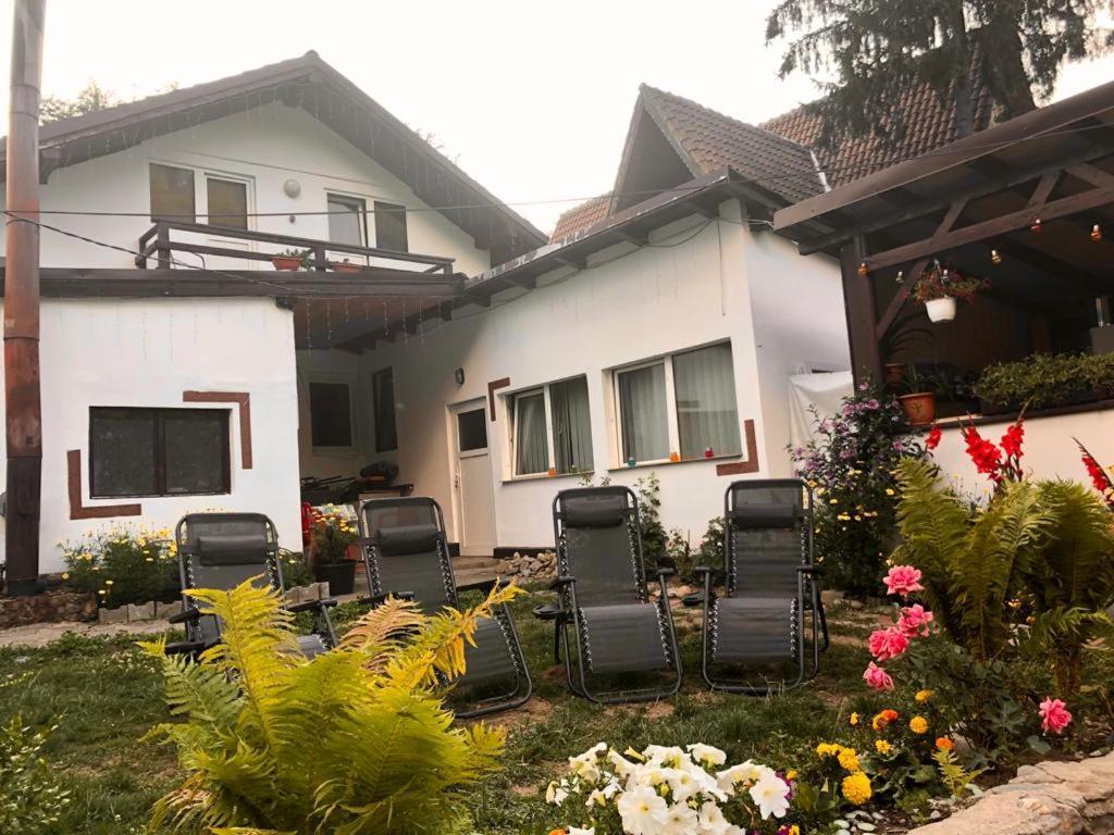 Villa Podul De Brazi - Fir Bridge à Cîrţişoara Extérieur photo