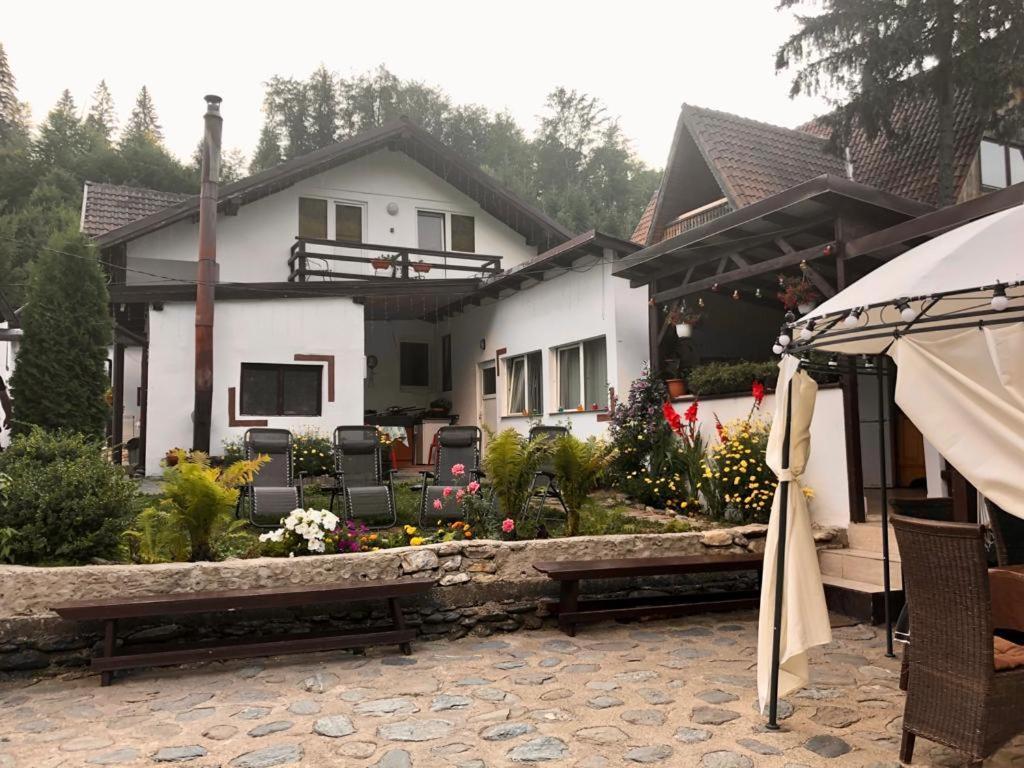 Villa Podul De Brazi - Fir Bridge à Cîrţişoara Extérieur photo