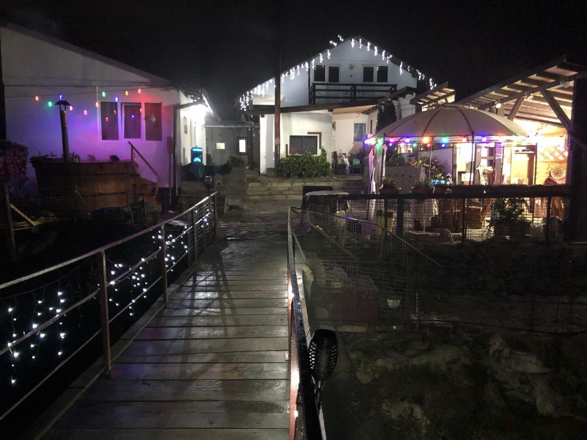 Villa Podul De Brazi - Fir Bridge à Cîrţişoara Extérieur photo