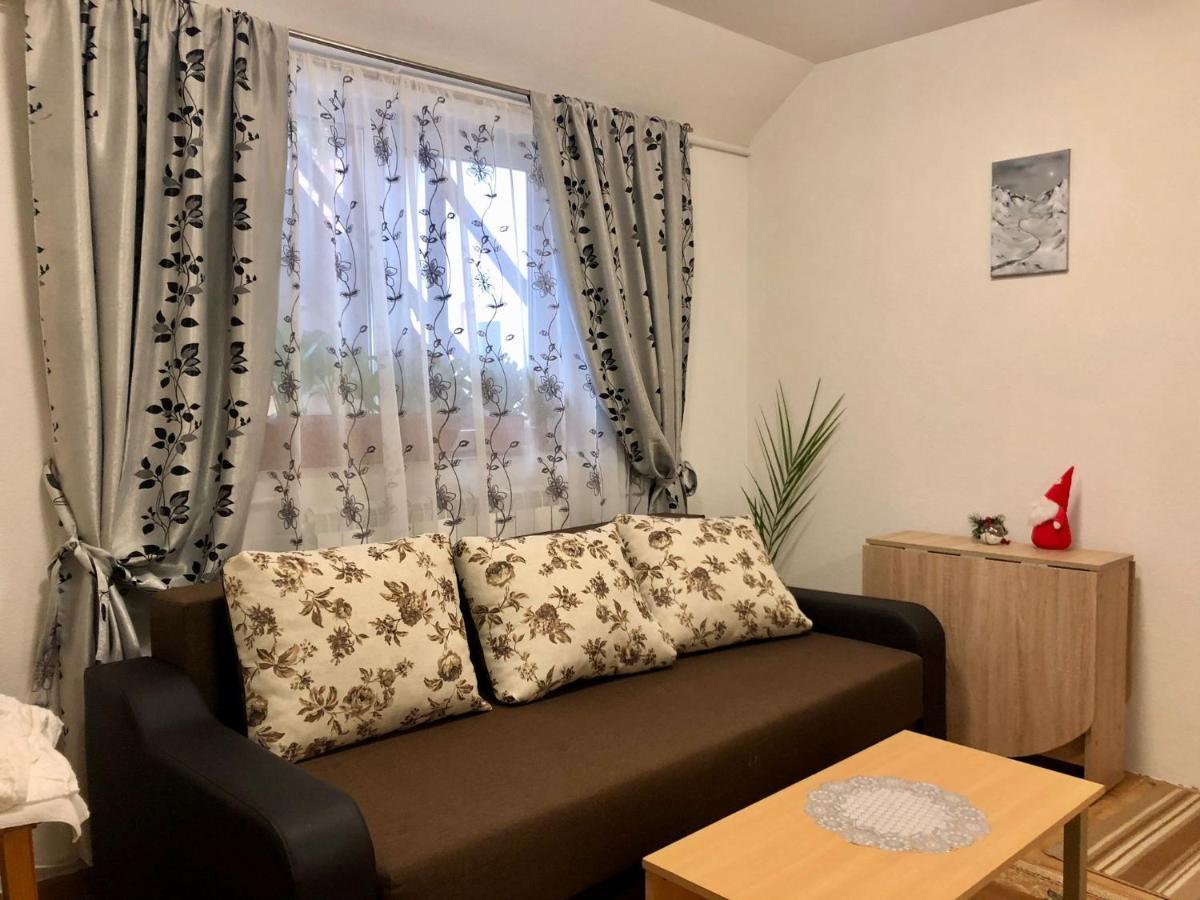 Villa Podul De Brazi - Fir Bridge à Cîrţişoara Extérieur photo