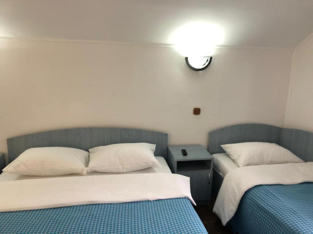 Villa Podul De Brazi - Fir Bridge à Cîrţişoara Chambre photo