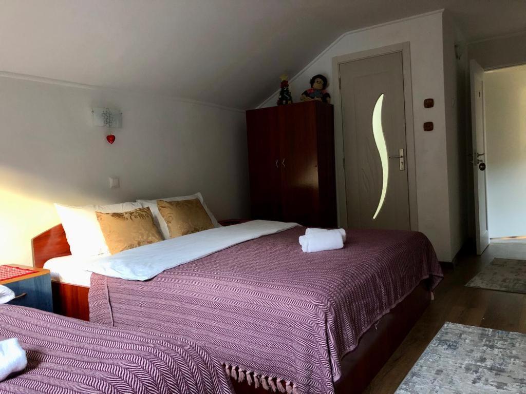 Villa Podul De Brazi - Fir Bridge à Cîrţişoara Chambre photo