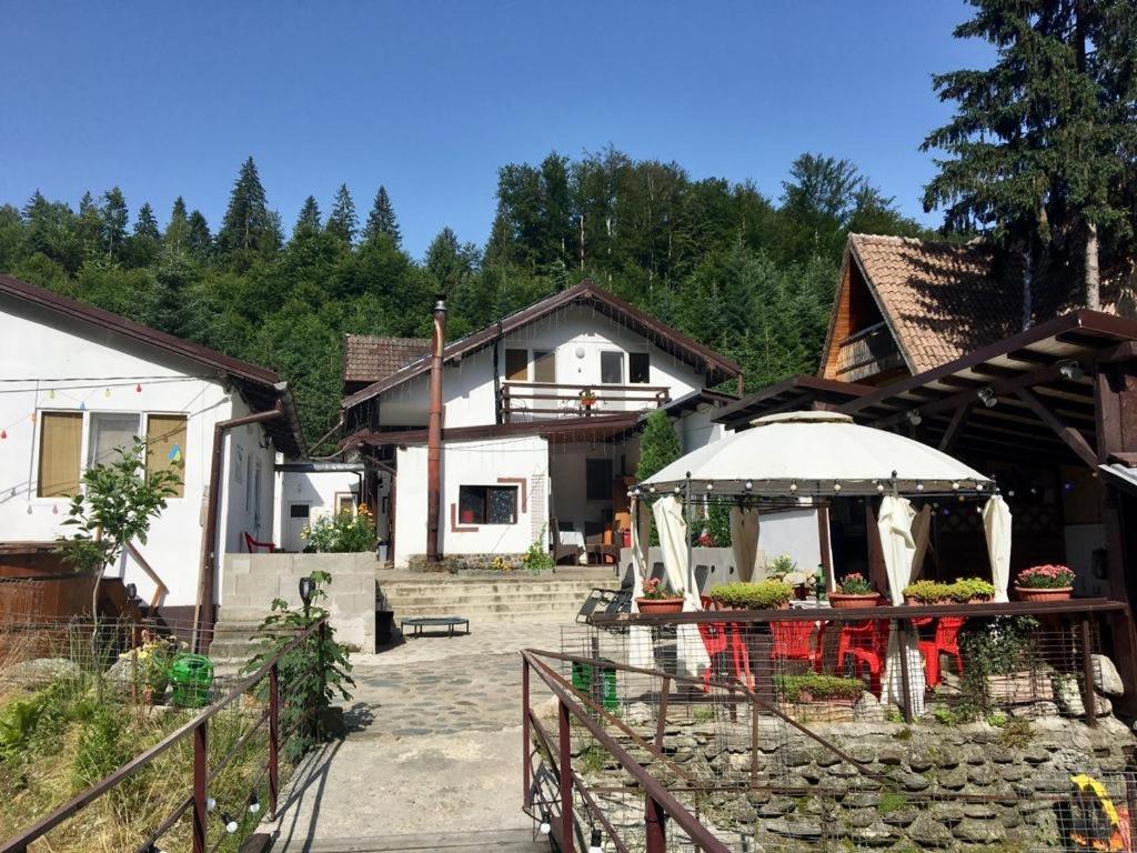 Villa Podul De Brazi - Fir Bridge à Cîrţişoara Extérieur photo