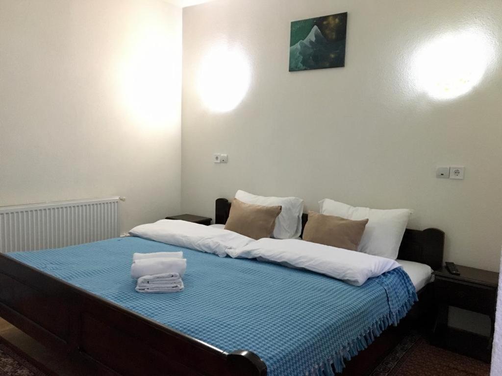 Villa Podul De Brazi - Fir Bridge à Cîrţişoara Chambre photo