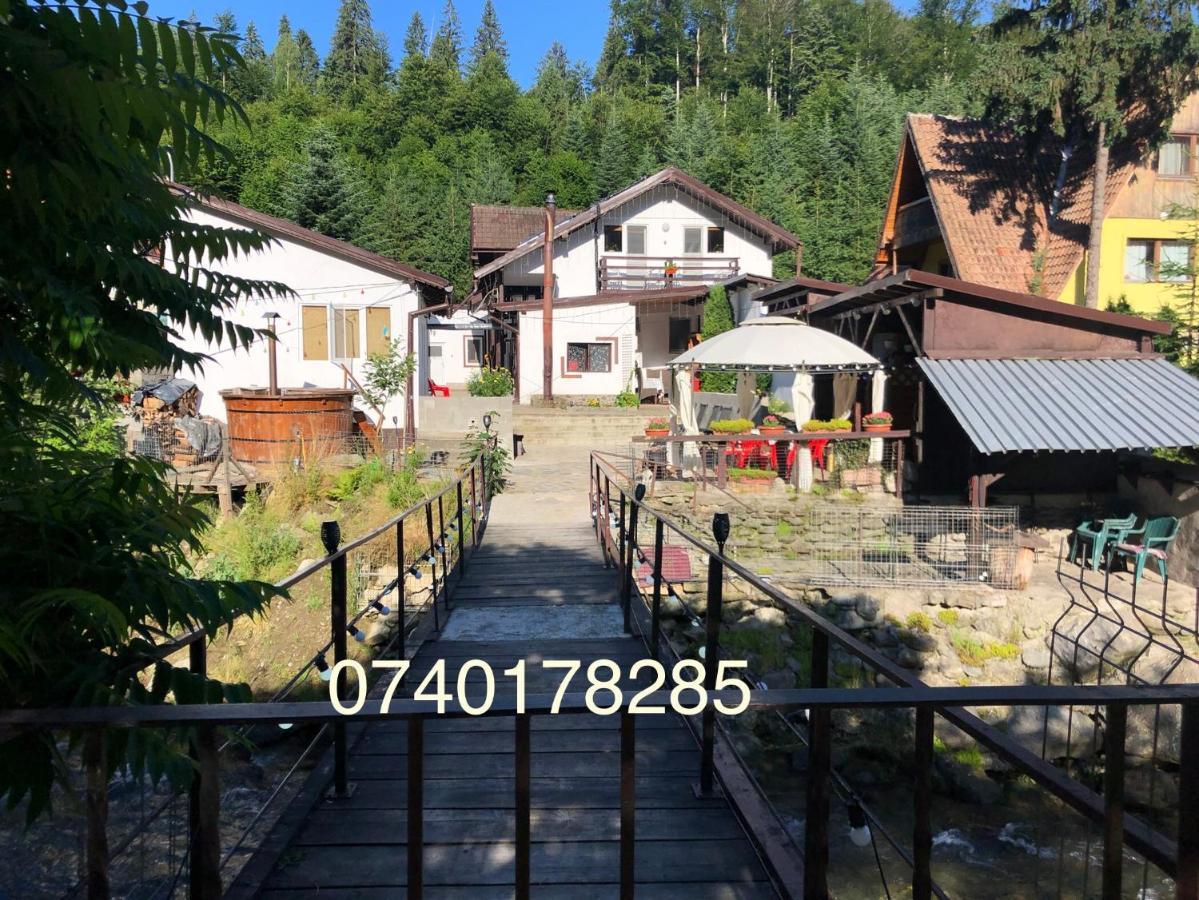 Villa Podul De Brazi - Fir Bridge à Cîrţişoara Extérieur photo