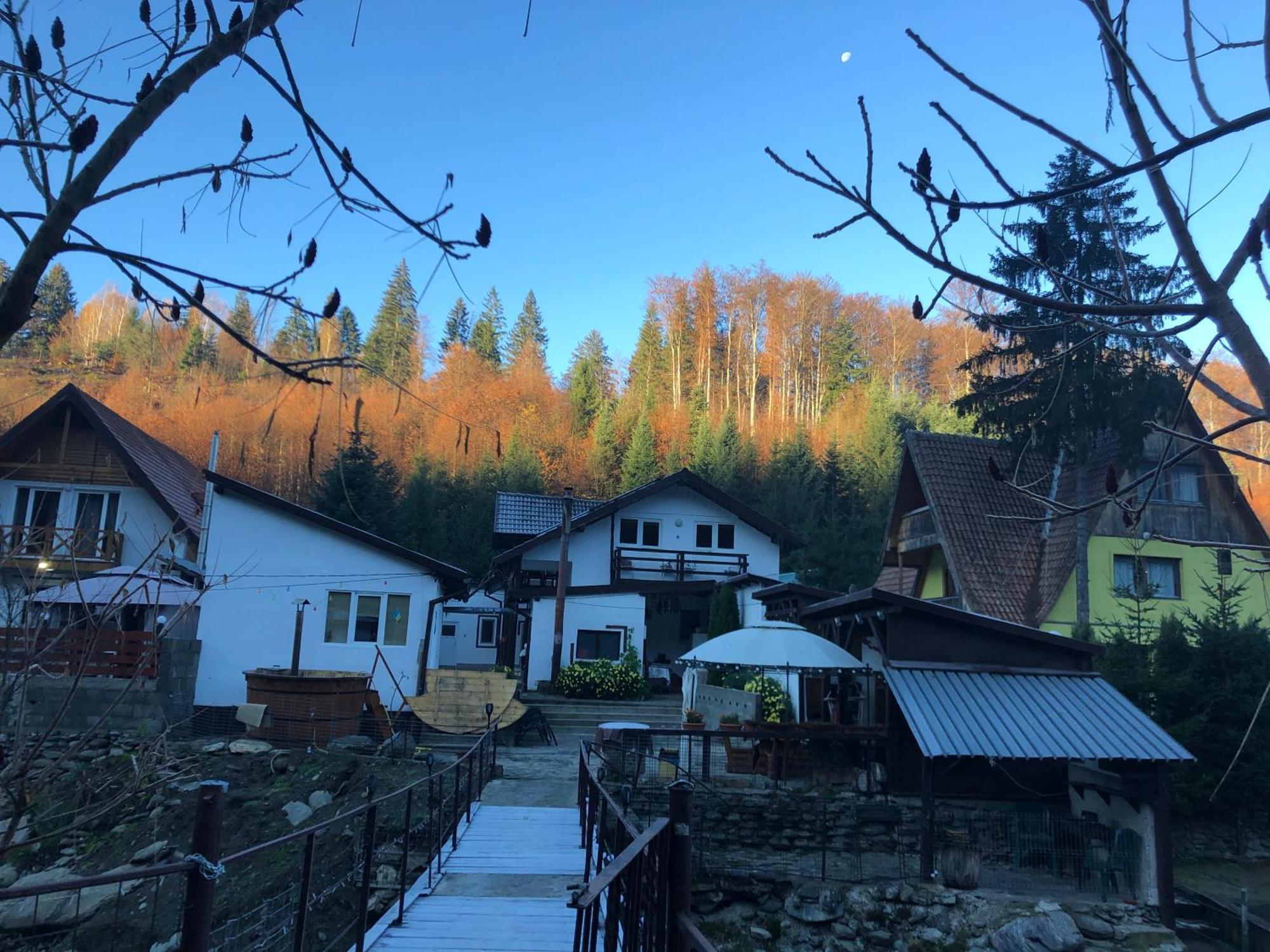 Villa Podul De Brazi - Fir Bridge à Cîrţişoara Extérieur photo