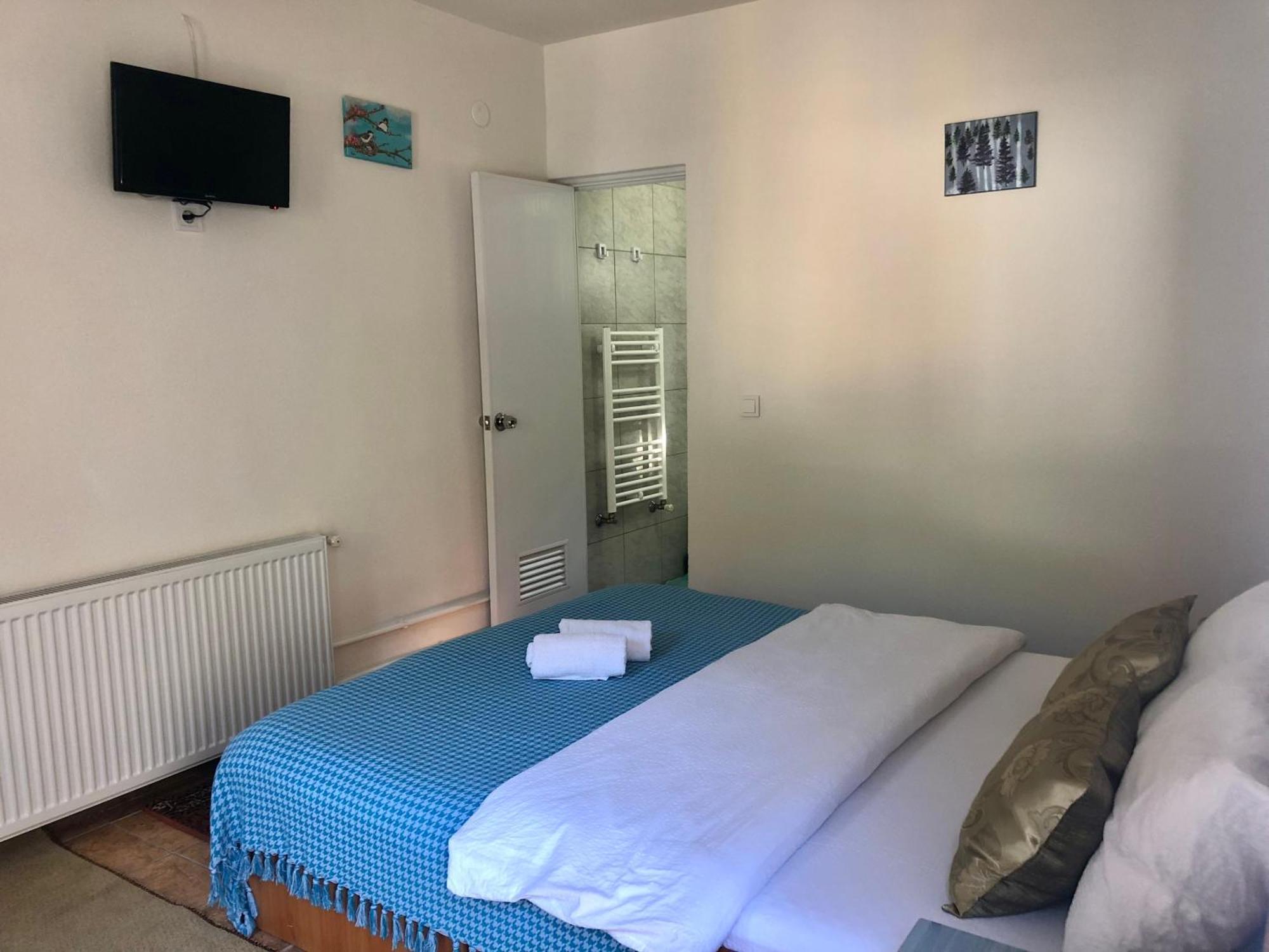 Villa Podul De Brazi - Fir Bridge à Cîrţişoara Chambre photo