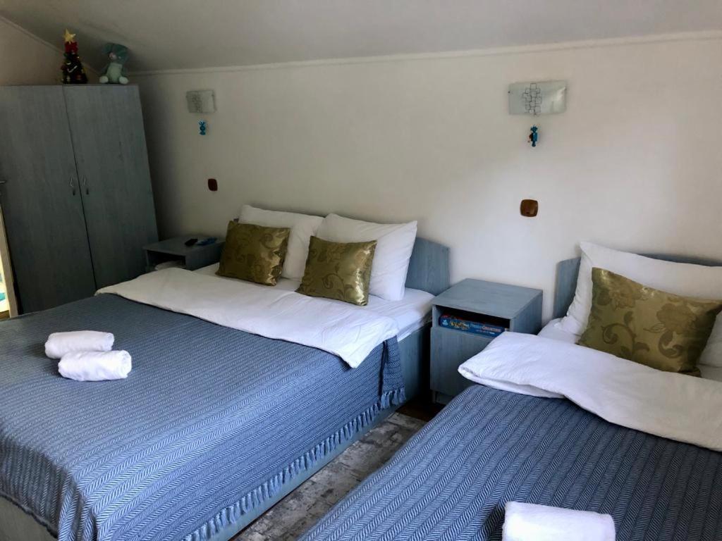 Villa Podul De Brazi - Fir Bridge à Cîrţişoara Chambre photo