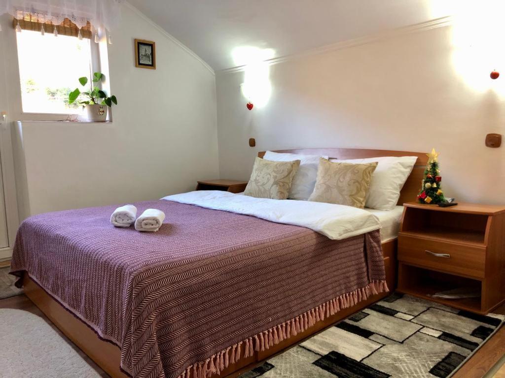Villa Podul De Brazi - Fir Bridge à Cîrţişoara Chambre photo