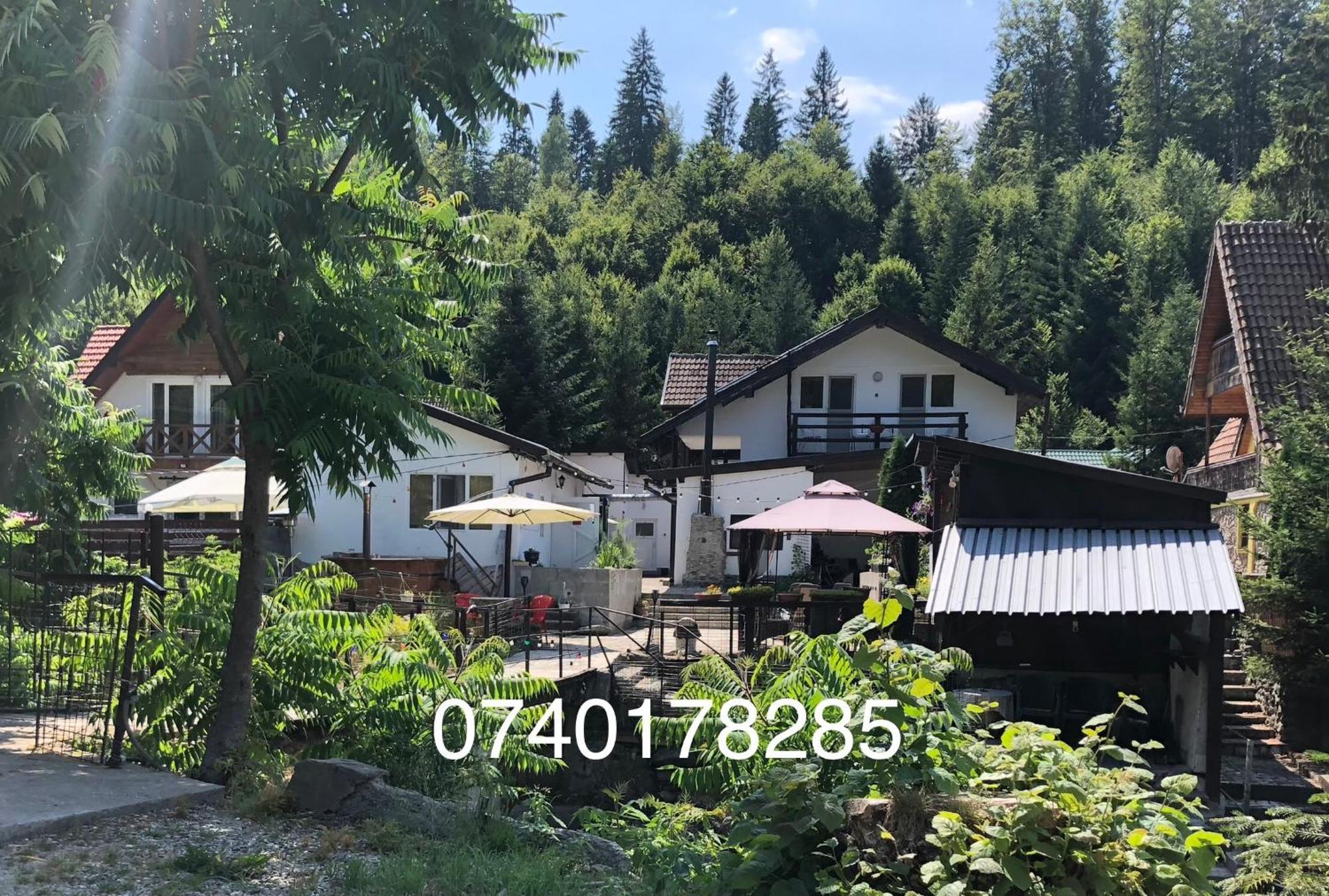 Villa Podul De Brazi - Fir Bridge à Cîrţişoara Extérieur photo
